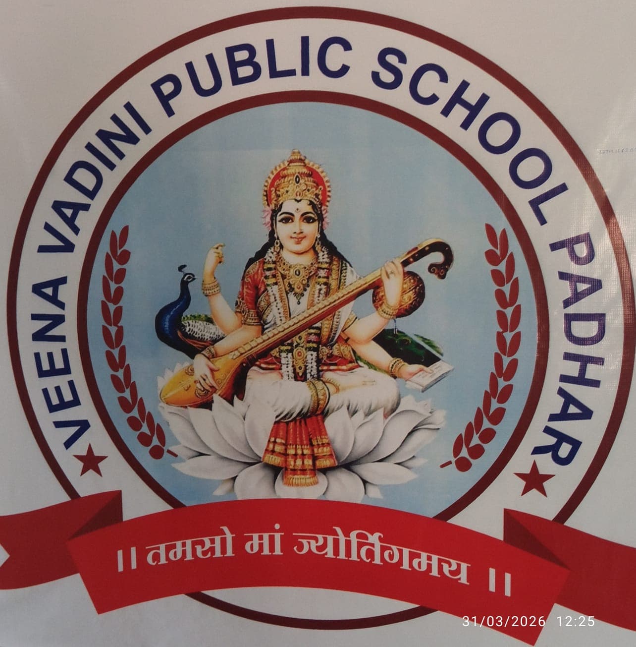 Temporary photographed reference of the Veena Vadini Public School emblem